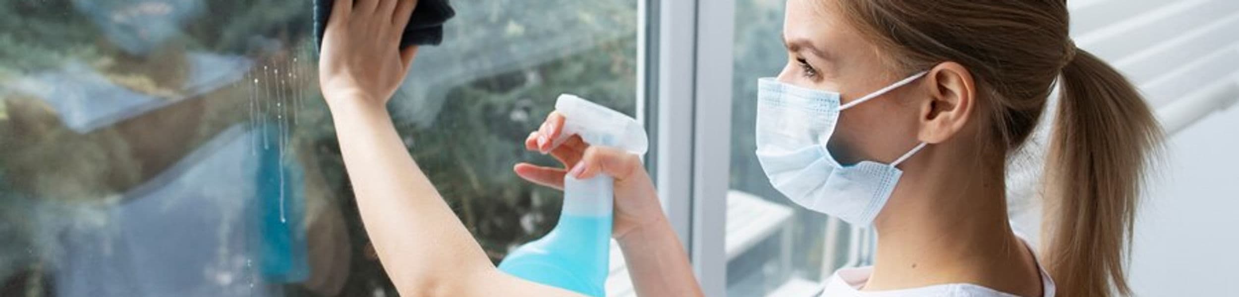 Window Cleaning Service